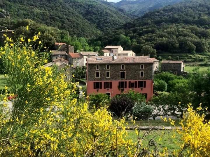Auberge Cevenole 瓦勒罗盖 外观 照片